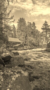 Sepia
