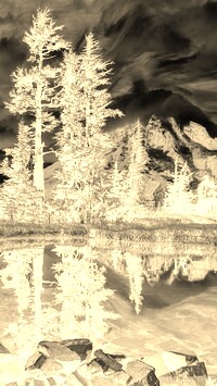 Sepia + Negatyw