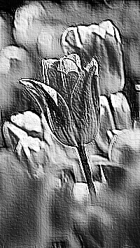 Skamielina