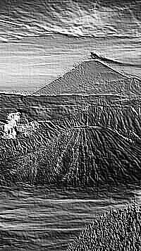 Skamielina