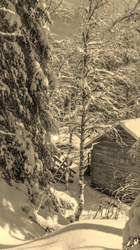 Szary + Sepia