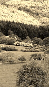 Sepia