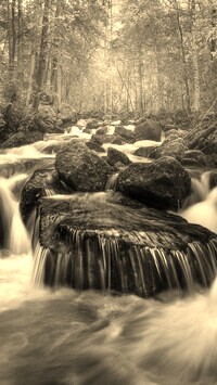 Sepia
