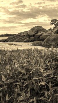 Szary + Sepia