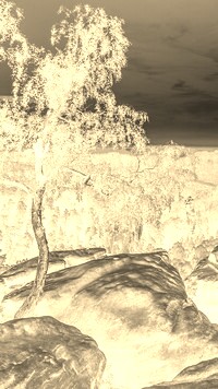 Sepia + Negatyw
