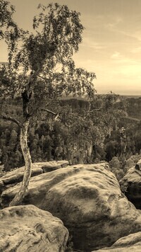 Sepia
