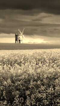 Szary + Sepia