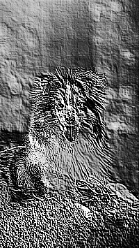 Skamielina