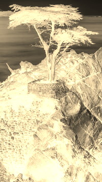 Sepia + Negatyw
