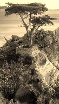 Sepia