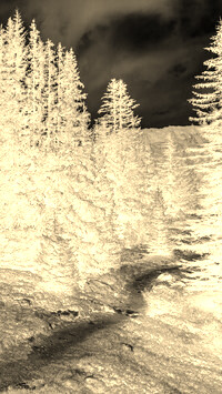 Sepia + Negatyw