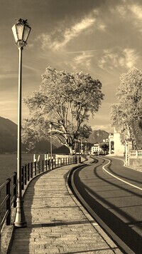 Szary + Sepia