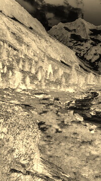 Sepia + Negatyw