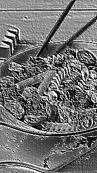 Skamielina