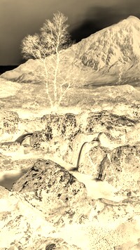 Sepia + Negatyw