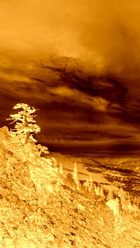 Sepia + Negatyw