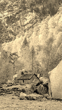 Sepia