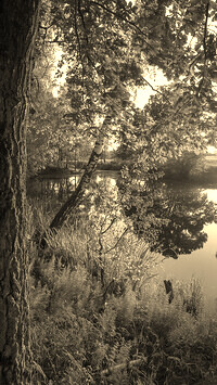 Szary + Sepia