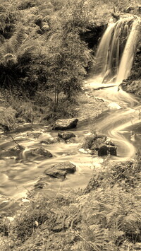 Sepia