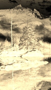 Sepia + Negatyw