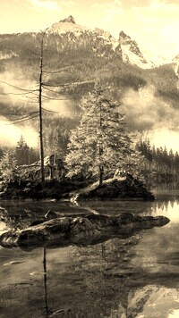 Szary + Sepia