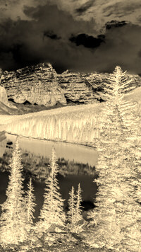 Sepia + Negatyw