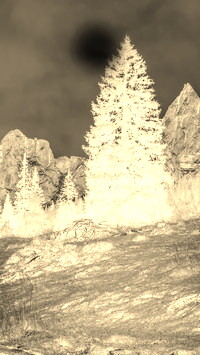 Sepia + Negatyw