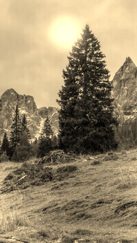 Szary + Sepia