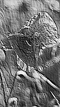 Skamielina