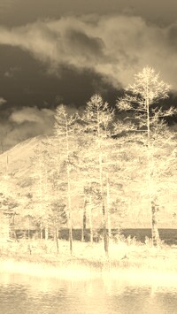 Sepia + Negatyw