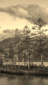 Szary + Sepia