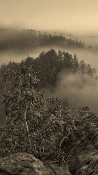 Sepia
