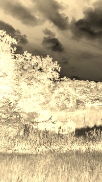 Sepia + Negatyw