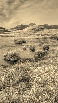 Szary + Sepia