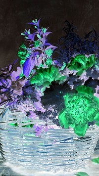 Negatyw