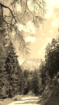 Sepia
