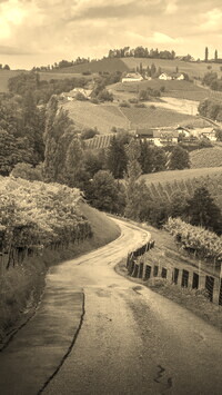Szary + Sepia