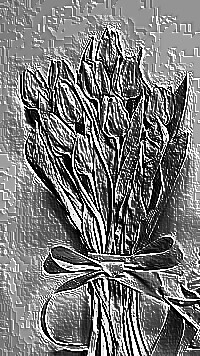 Skamielina