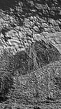 Skamielina