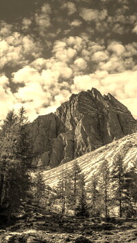 Szary + Sepia