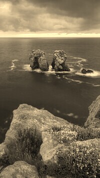 Szary + Sepia