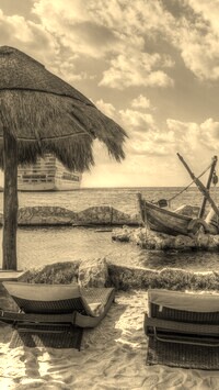 Szary + Sepia