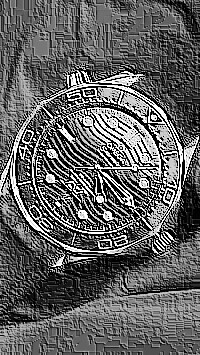 Skamielina