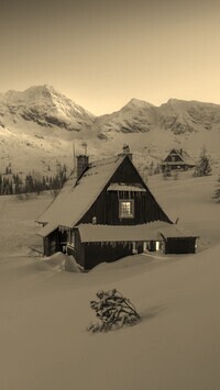 Sepia