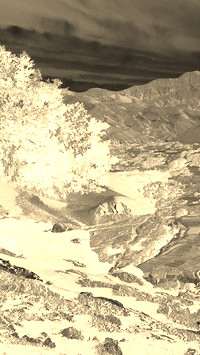 Sepia + Negatyw