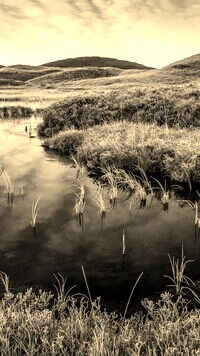 Szary + Sepia