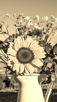 Szary + Sepia