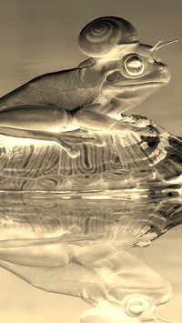 Sepia + Negatyw