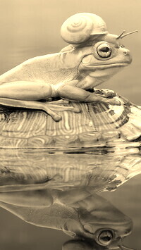 Sepia