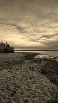 Sepia